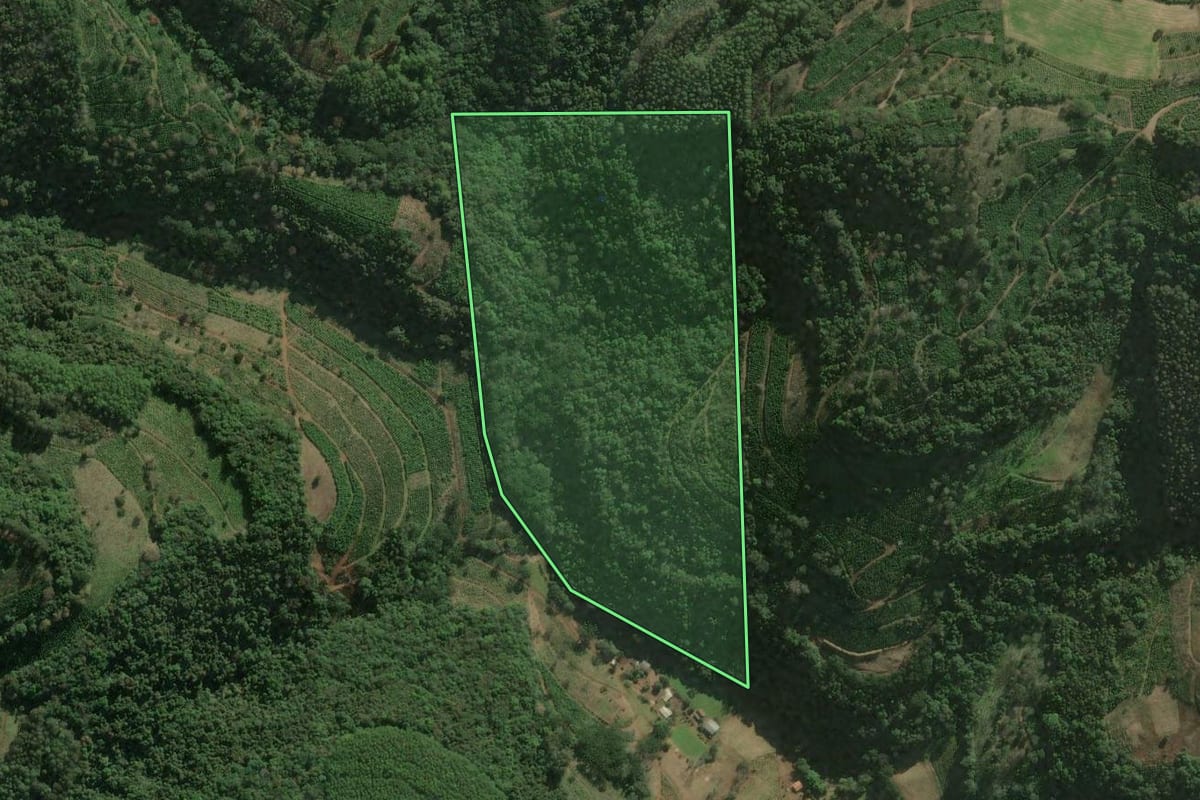 Imagem de satélite do imóvel rural em Anta Gorda (RS), com o contorno declarado no CAR desenhado por cima.