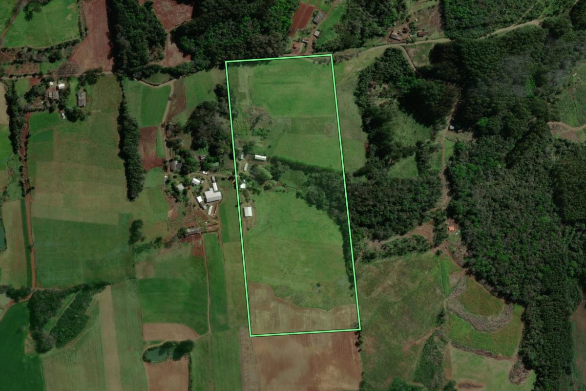 Imagem de satélite do imóvel rural em Anta Gorda (RS), com o contorno declarado no CAR desenhado por cima.