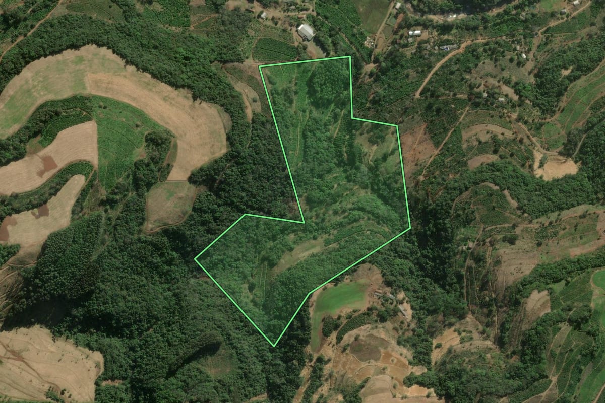 Imagem de satélite do imóvel rural em Anta Gorda (RS), com o contorno declarado no CAR desenhado por cima.