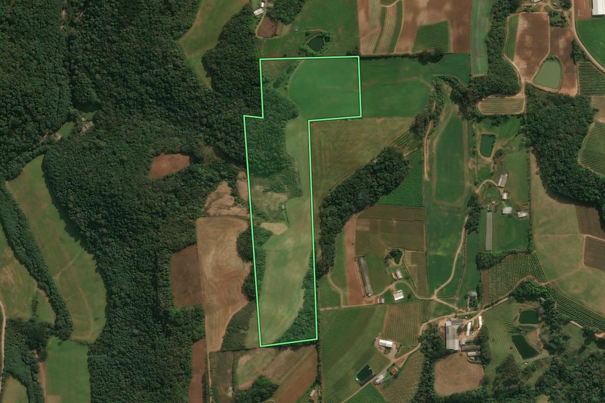 Imagem de satélite do imóvel rural em Antônio Prado (RS), com o contorno declarado no CAR desenhado por cima.
