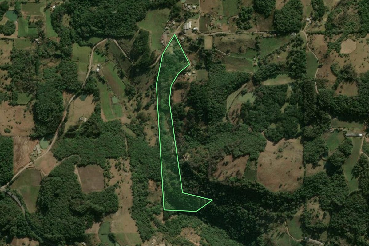 Imagem de satélite do imóvel rural em Antônio Prado (RS), com o contorno declarado no CAR desenhado por cima.
