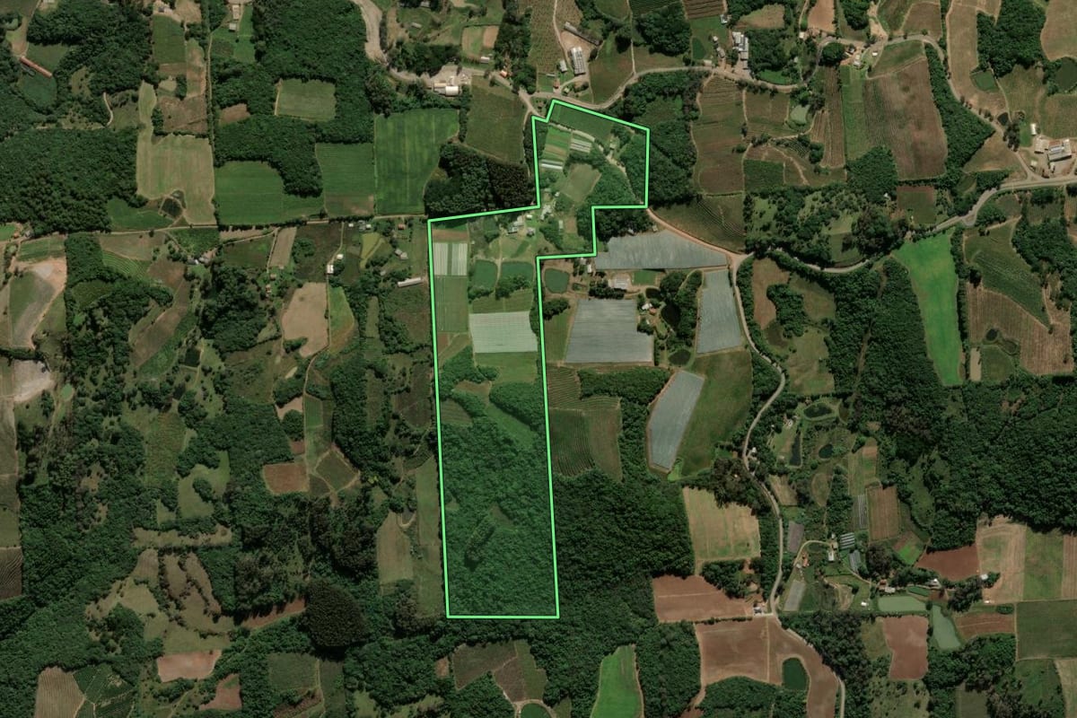 Imagem de satélite do imóvel rural em Antônio Prado (RS), com o contorno declarado no CAR desenhado por cima.