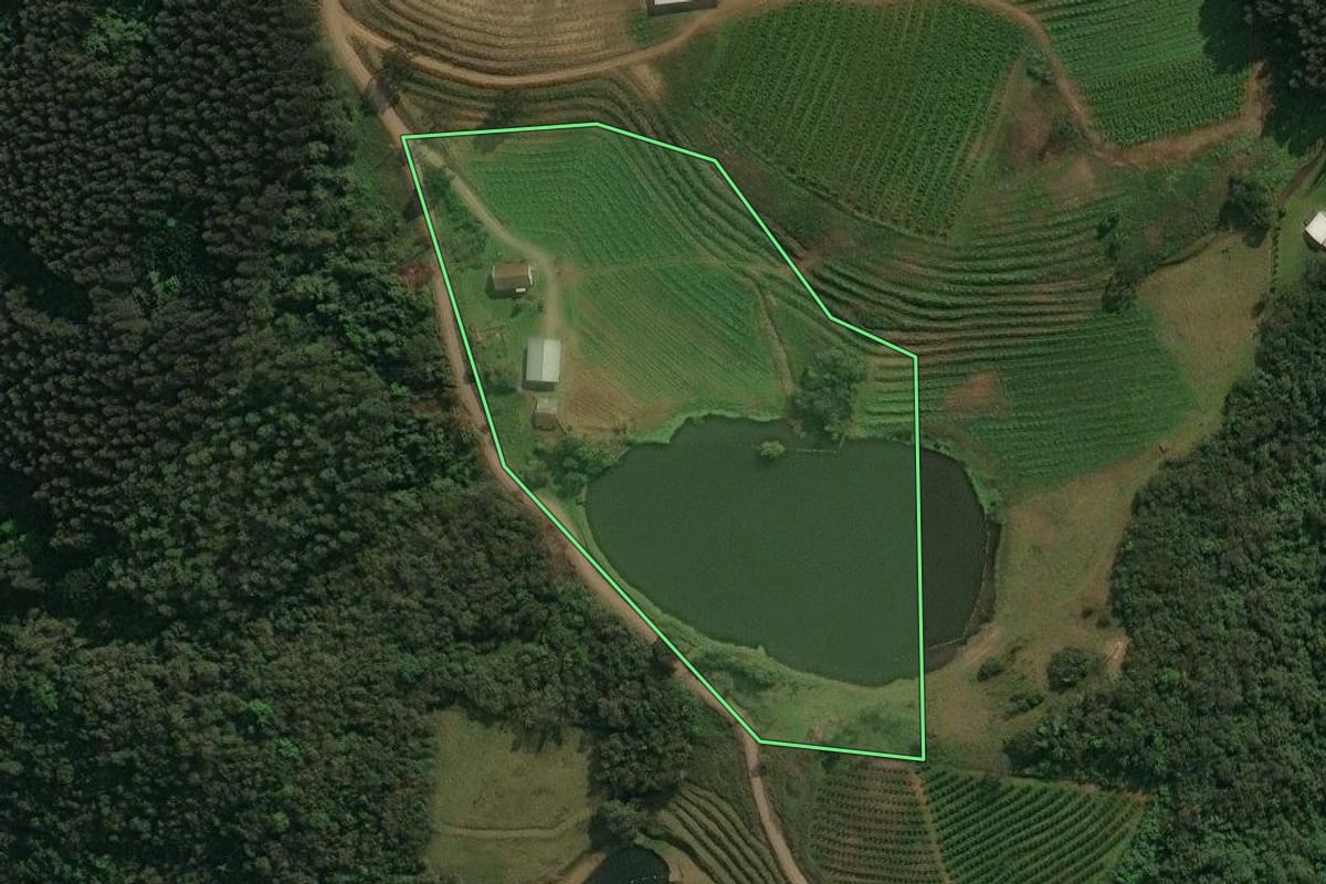 Imagem de satélite do imóvel rural em Antônio Prado (RS), com o contorno declarado no CAR desenhado por cima.