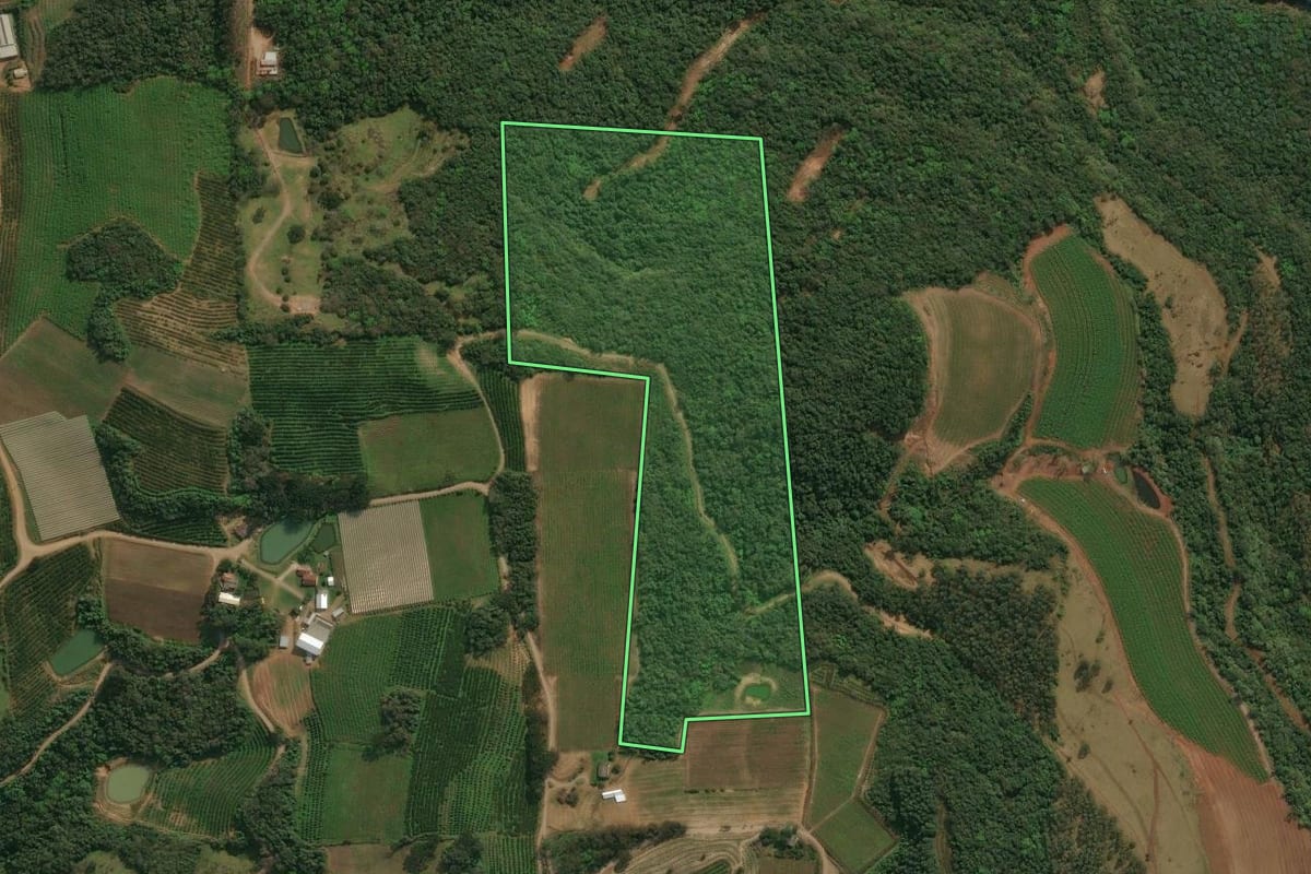 Imagem de satélite do imóvel rural em Antônio Prado (RS), com o contorno declarado no CAR desenhado por cima.