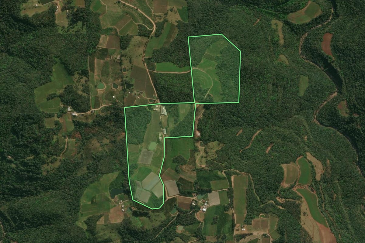 Imagem de satélite do imóvel rural em Antônio Prado (RS), com o contorno declarado no CAR desenhado por cima.