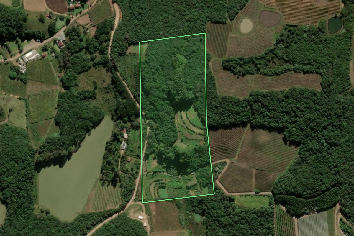 Imagem de satélite do imóvel rural em Antônio Prado (RS), com o contorno declarado no CAR desenhado por cima.