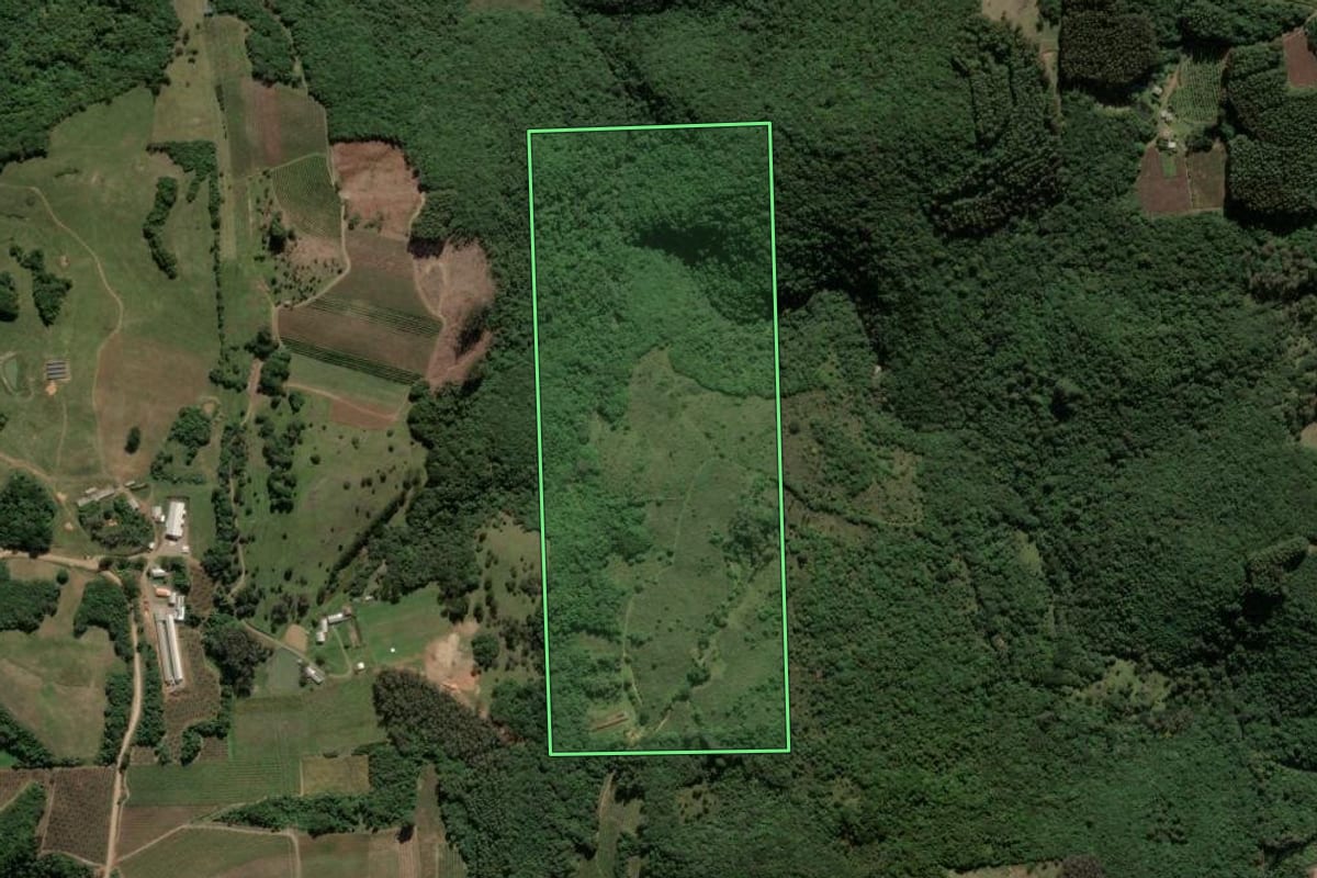 Imagem de satélite do imóvel rural em Antônio Prado (RS), com o contorno declarado no CAR desenhado por cima.