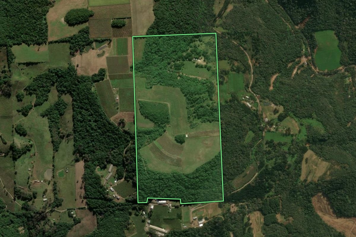 Imagem de satélite do imóvel rural em Antônio Prado (RS), com o contorno declarado no CAR desenhado por cima.
