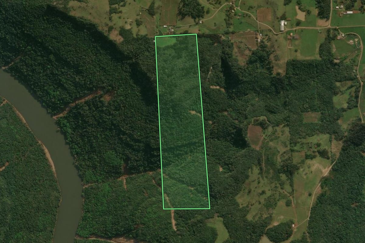 Imagem de satélite do imóvel rural em Antônio Prado (RS), com o contorno declarado no CAR desenhado por cima.