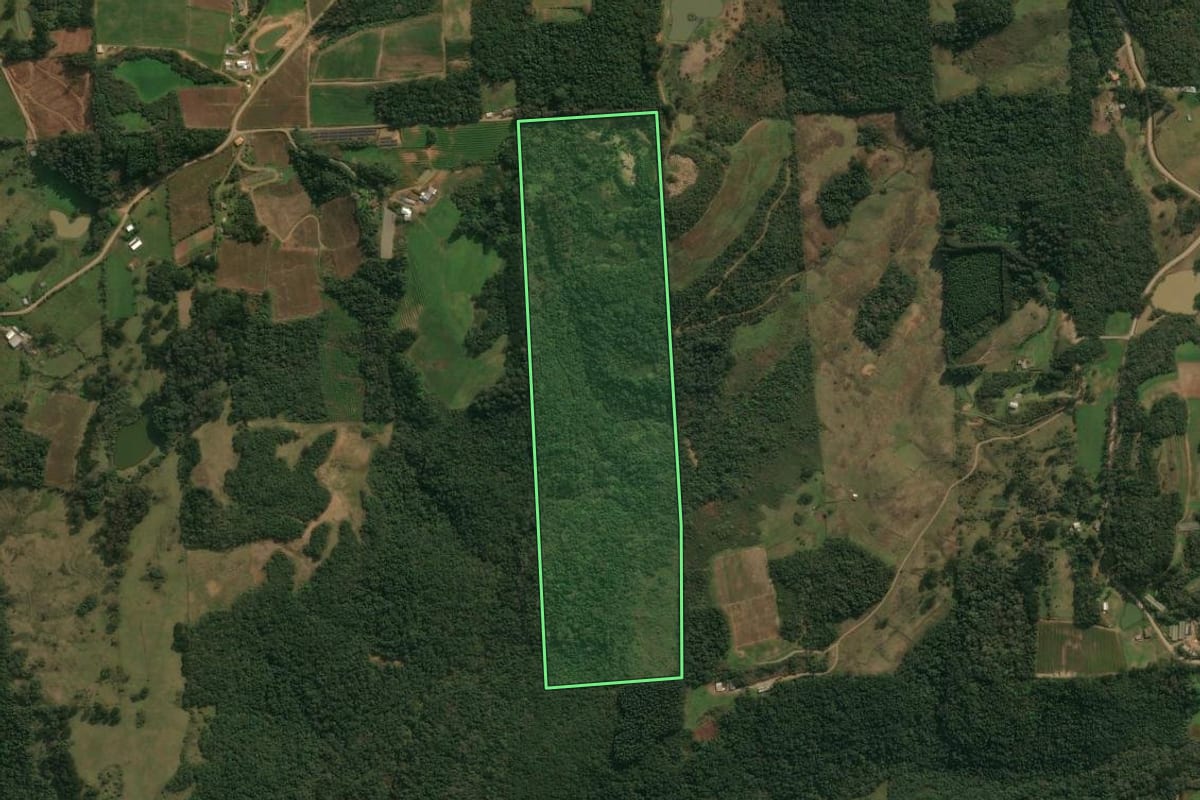 Imagem de satélite do imóvel rural em Antônio Prado (RS), com o contorno declarado no CAR desenhado por cima.