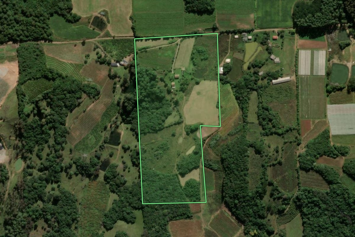 Imagem de satélite do imóvel rural em Antônio Prado (RS), com o contorno declarado no CAR desenhado por cima.