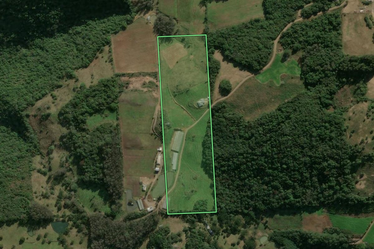 Imagem de satélite do imóvel rural em Antônio Prado (RS), com o contorno declarado no CAR desenhado por cima.