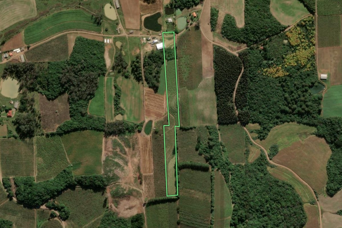 Imagem de satélite do imóvel rural em Antônio Prado (RS), com o contorno declarado no CAR desenhado por cima.