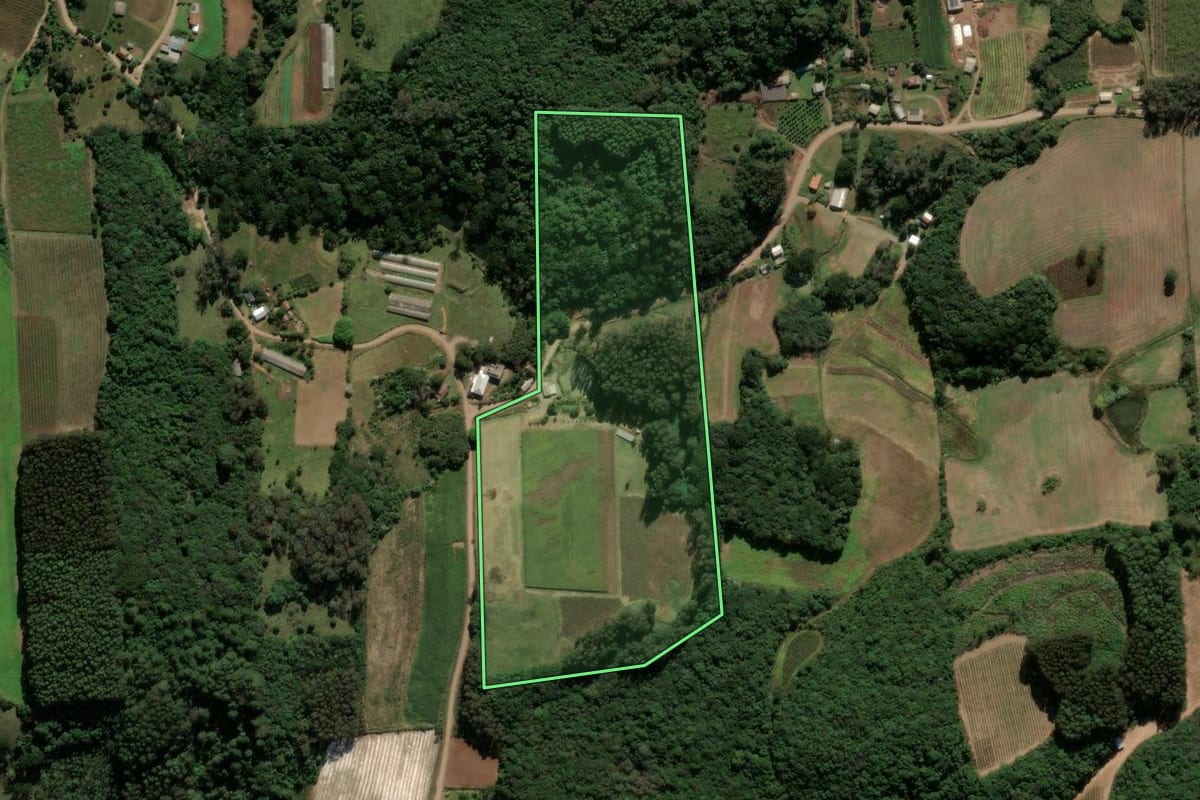 Imagem de satélite do imóvel rural em Antônio Prado (RS), com o contorno declarado no CAR desenhado por cima.