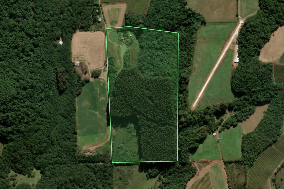 Imagem de satélite do imóvel rural em Antônio Prado (RS), com o contorno declarado no CAR desenhado por cima.