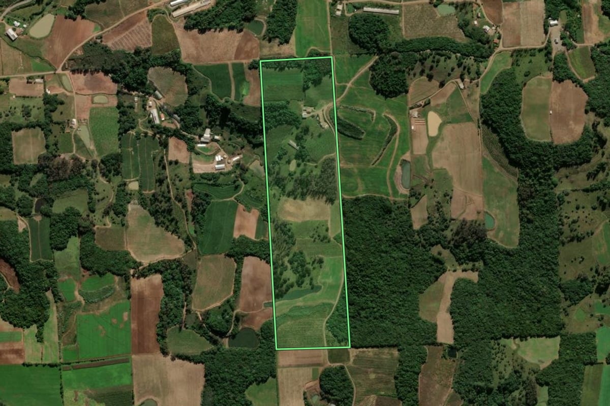 Imagem de satélite do imóvel rural em Antônio Prado (RS), com o contorno declarado no CAR desenhado por cima.