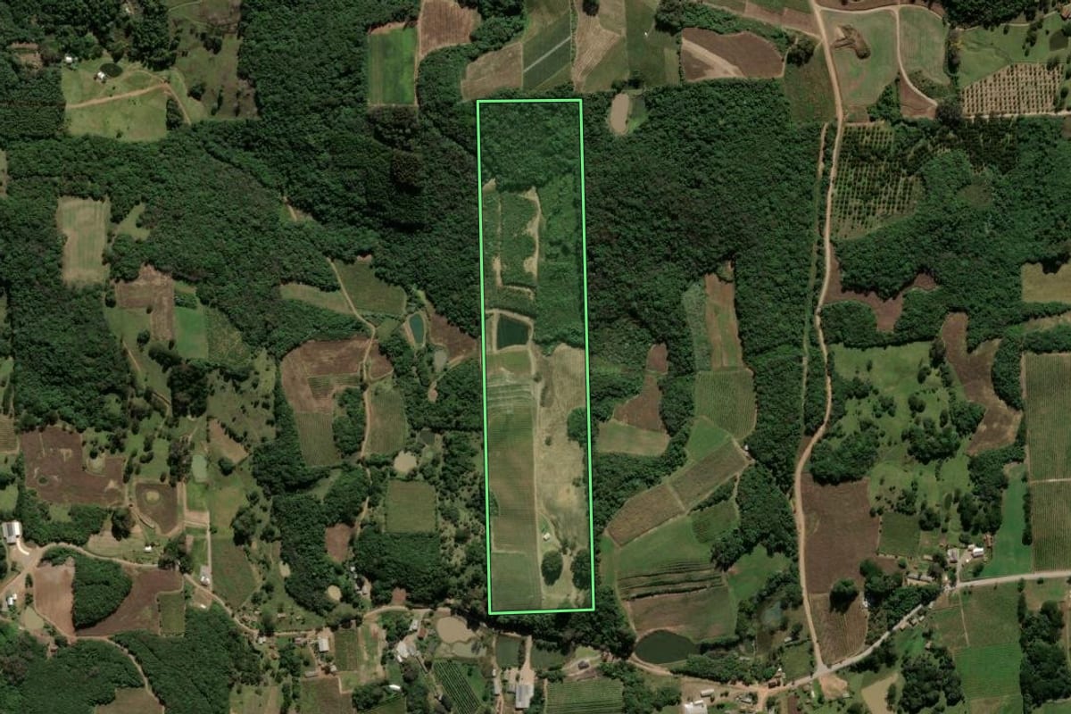 Imagem de satélite do imóvel rural em Antônio Prado (RS), com o contorno declarado no CAR desenhado por cima.