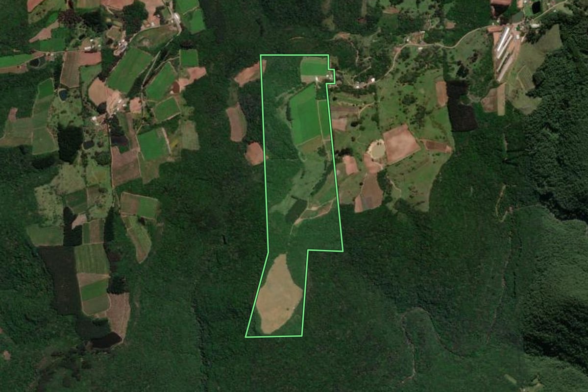 Imagem de satélite do imóvel rural em Antônio Prado (RS), com o contorno declarado no CAR desenhado por cima.