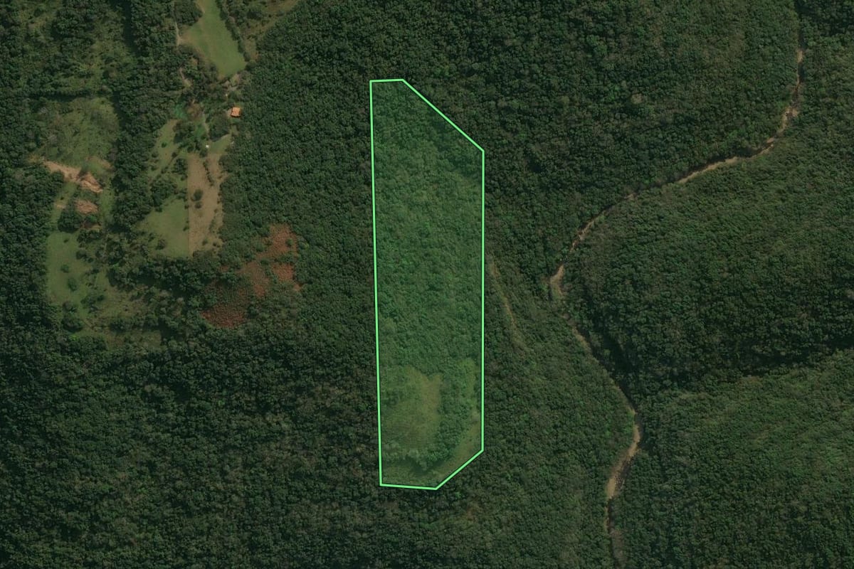 Imagem de satélite do imóvel rural em Antônio Prado (RS), com o contorno declarado no CAR desenhado por cima.