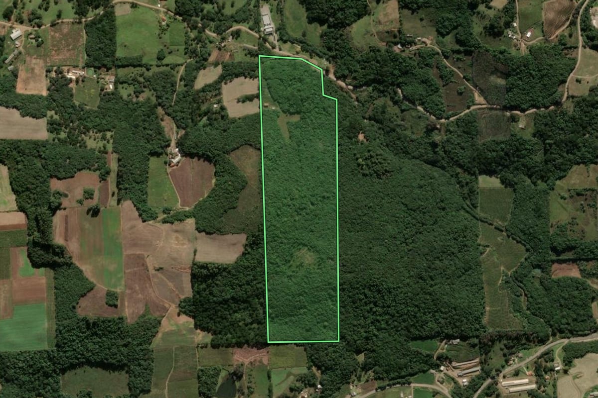 Imagem de satélite do imóvel rural em Antônio Prado (RS), com o contorno declarado no CAR desenhado por cima.