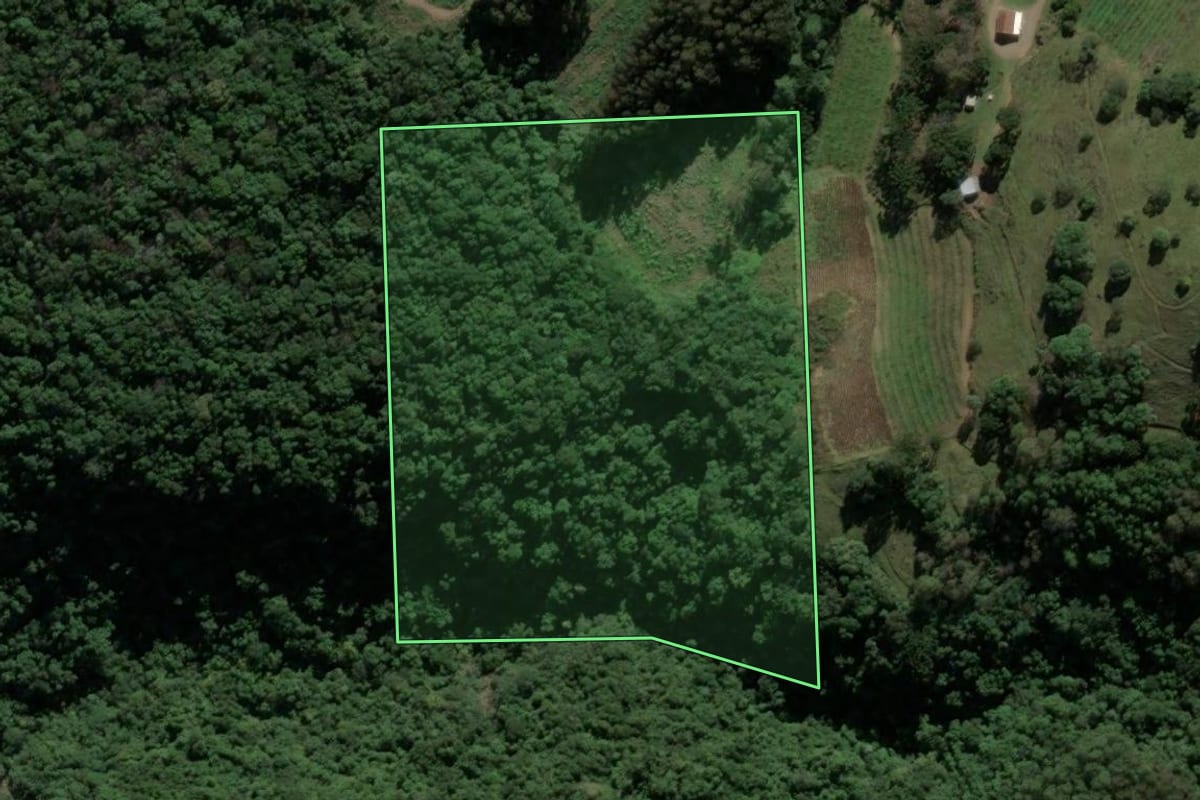 Imagem de satélite do imóvel rural em Antônio Prado (RS), com o contorno declarado no CAR desenhado por cima.