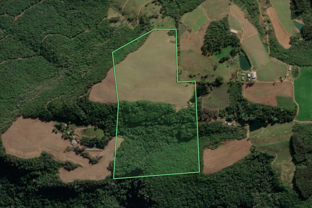 Imagem de satélite do imóvel rural em Antônio Prado (RS), com o contorno declarado no CAR desenhado por cima.
