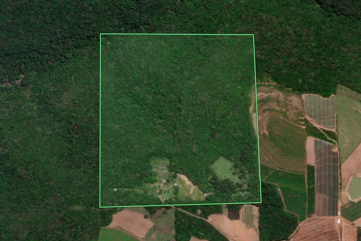 Imagem de satélite do imóvel rural em Antônio Prado (RS), com o contorno declarado no CAR desenhado por cima.