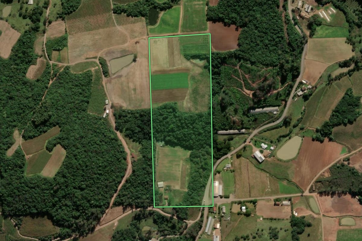 Imagem de satélite do imóvel rural em Antônio Prado (RS), com o contorno declarado no CAR desenhado por cima.