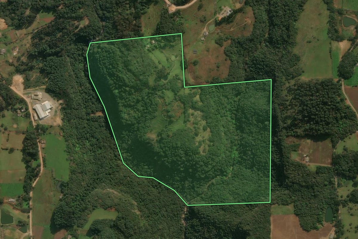 Imagem de satélite do imóvel rural em Antônio Prado (RS), com o contorno declarado no CAR desenhado por cima.