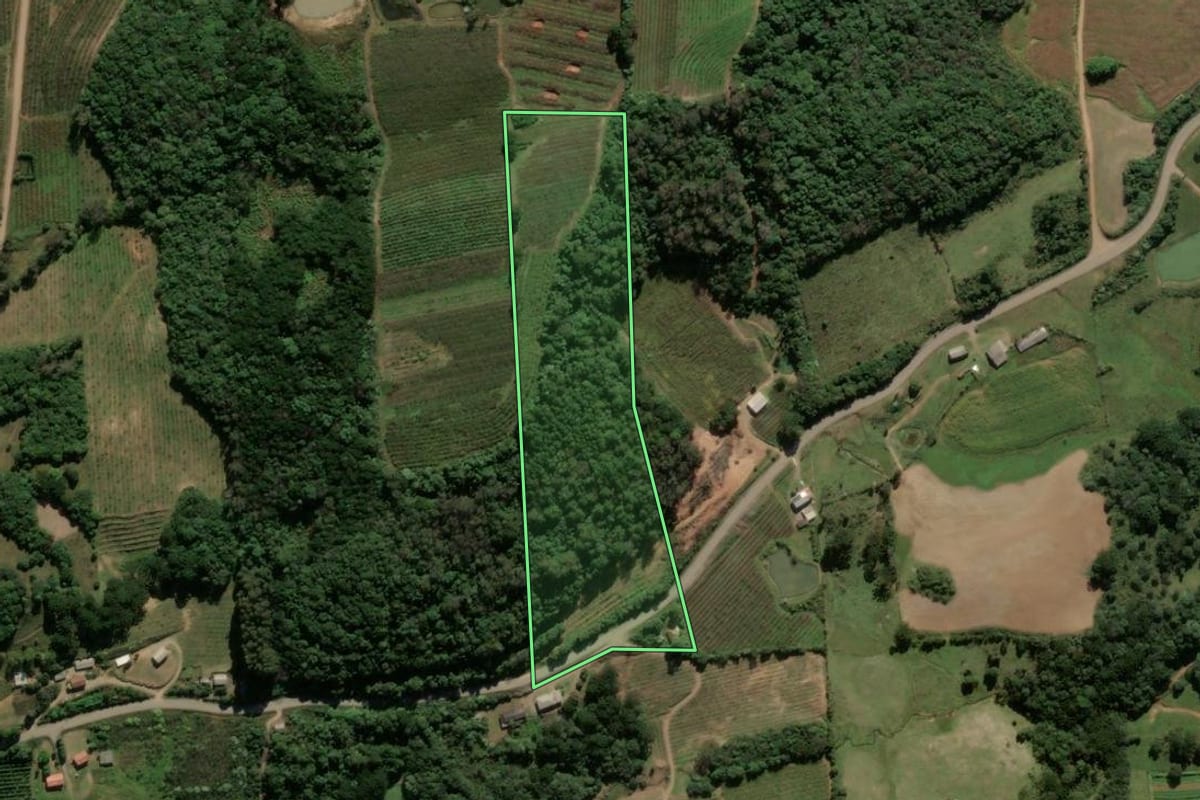 Imagem de satélite do imóvel rural em Antônio Prado (RS), com o contorno declarado no CAR desenhado por cima.