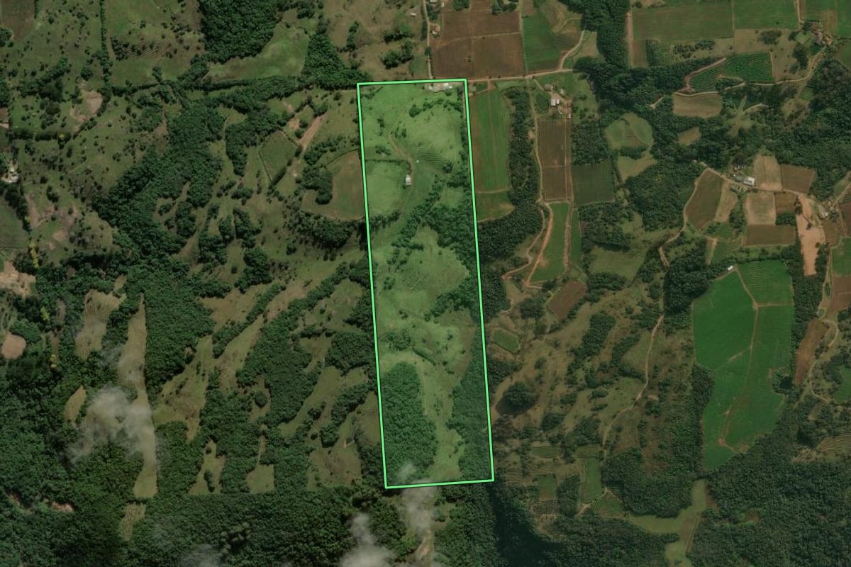 Imagem de satélite do imóvel rural em Antônio Prado (RS), com o contorno declarado no CAR desenhado por cima.