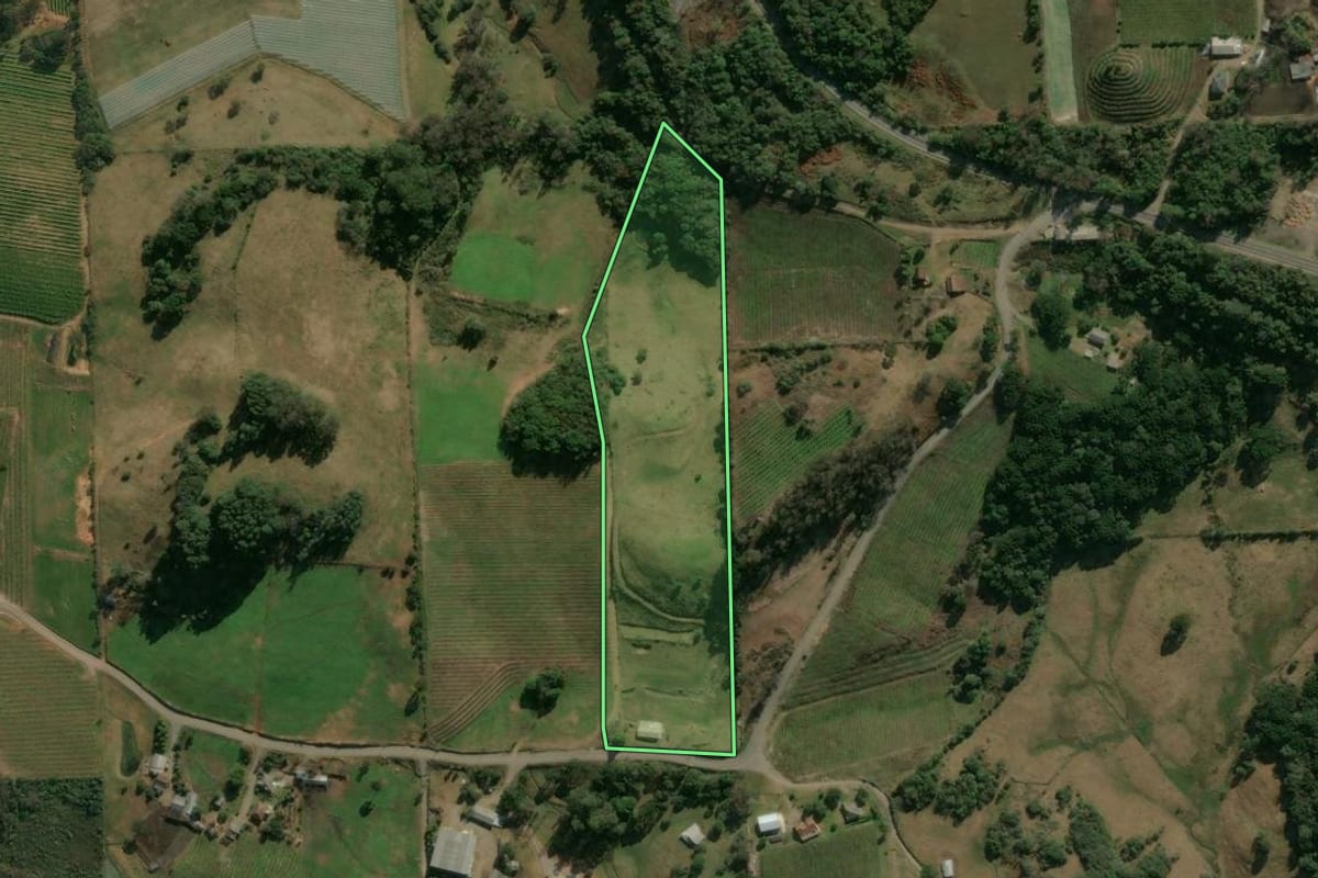Imagem de satélite do imóvel rural em Antônio Prado (RS), com o contorno declarado no CAR desenhado por cima.