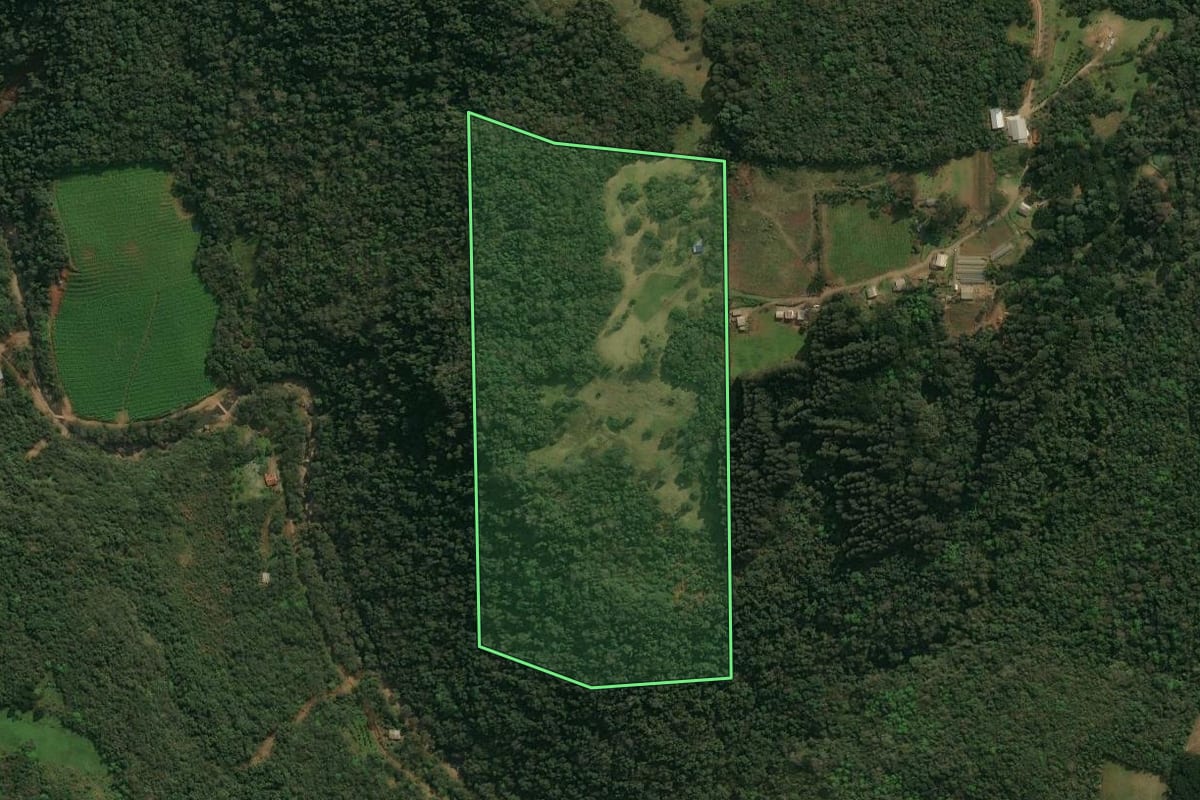 Imagem de satélite do imóvel rural em Antônio Prado (RS), com o contorno declarado no CAR desenhado por cima.