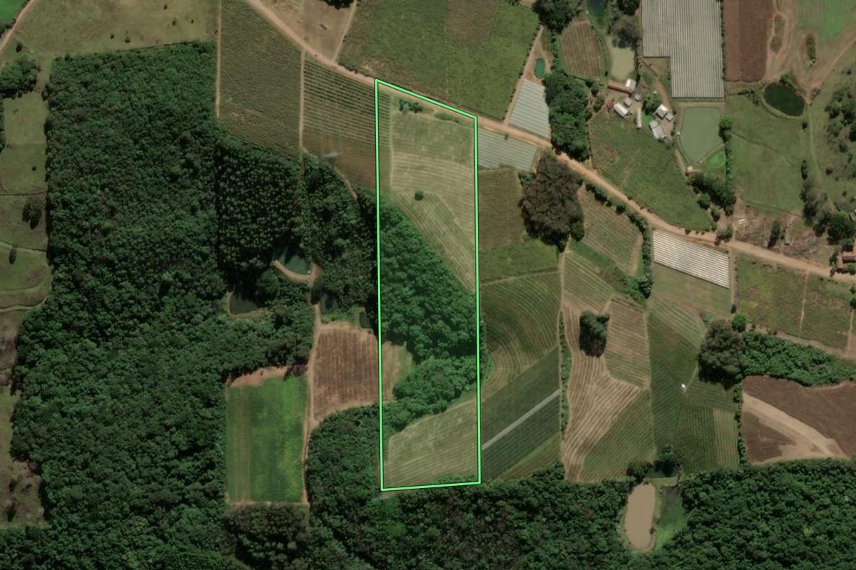 Imagem de satélite do imóvel rural em Antônio Prado (RS), com o contorno declarado no CAR desenhado por cima.