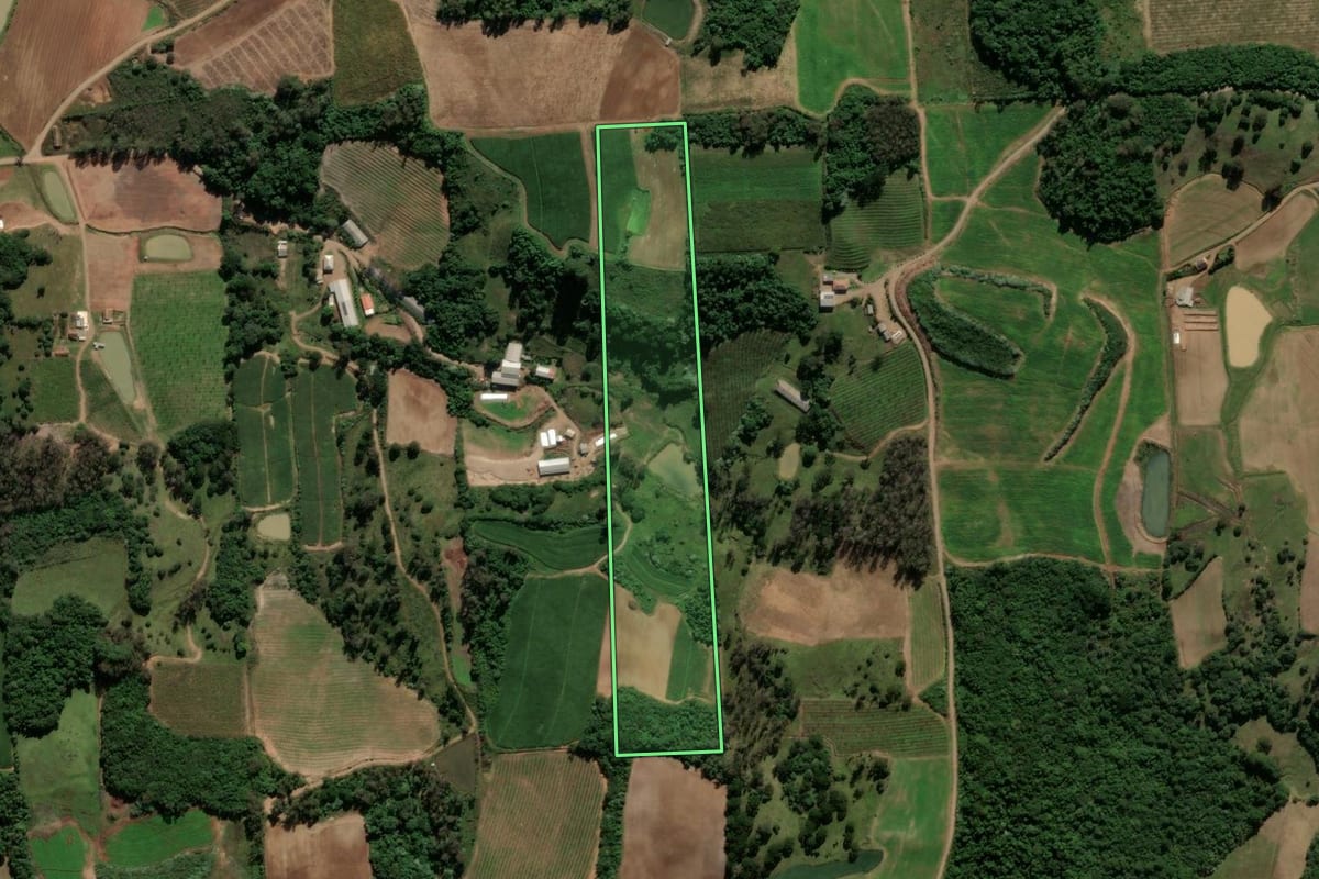 Imagem de satélite do imóvel rural em Antônio Prado (RS), com o contorno declarado no CAR desenhado por cima.