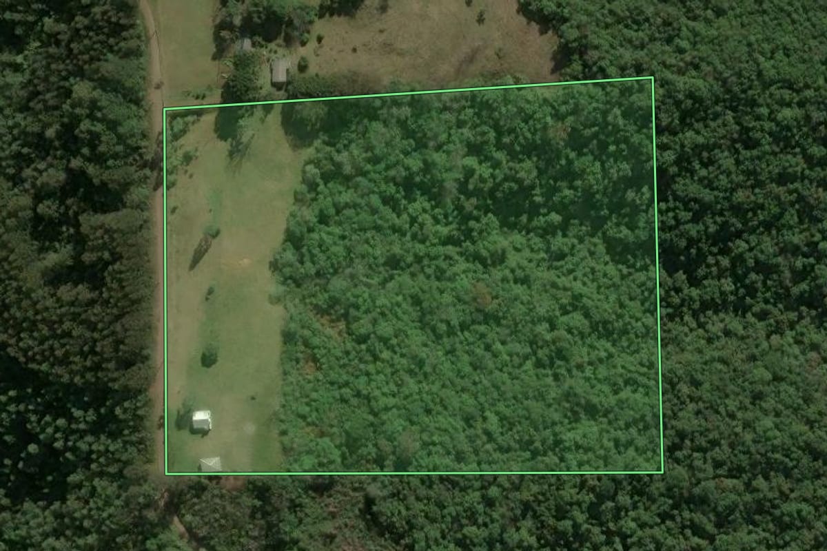 Imagem de satélite do imóvel rural em Antônio Prado (RS), com o contorno declarado no CAR desenhado por cima.