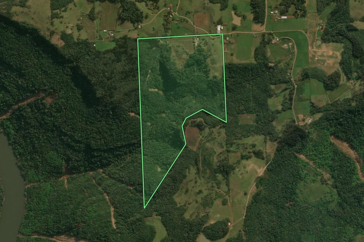 Imagem de satélite do imóvel rural em Antônio Prado (RS), com o contorno declarado no CAR desenhado por cima.