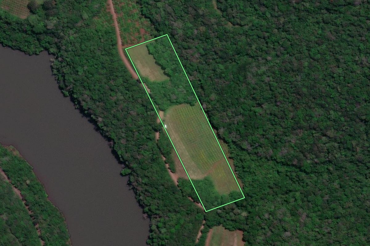 Imagem de satélite do imóvel rural em Antônio Prado (RS), com o contorno declarado no CAR desenhado por cima.
