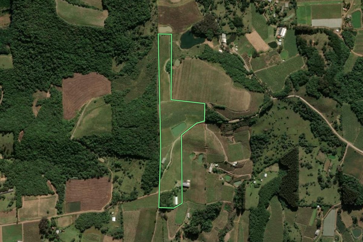 Imagem de satélite do imóvel rural em Antônio Prado (RS), com o contorno declarado no CAR desenhado por cima.