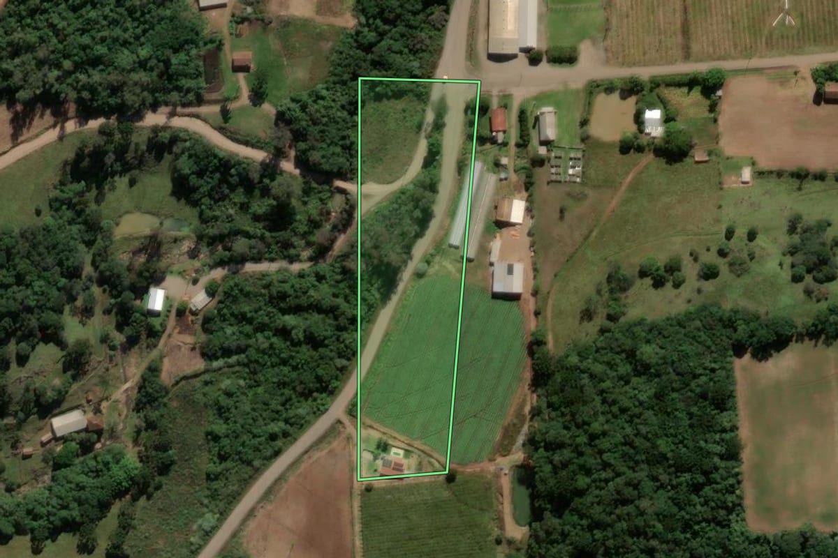 Imagem de satélite do imóvel rural em Antônio Prado (RS), com o contorno declarado no CAR desenhado por cima.