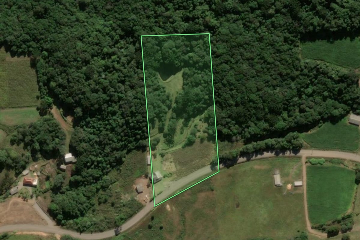 Imagem de satélite do imóvel rural em Antônio Prado (RS), com o contorno declarado no CAR desenhado por cima.