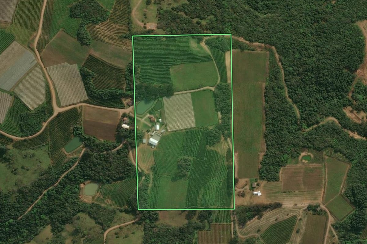 Imagem de satélite do imóvel rural em Antônio Prado (RS), com o contorno declarado no CAR desenhado por cima.