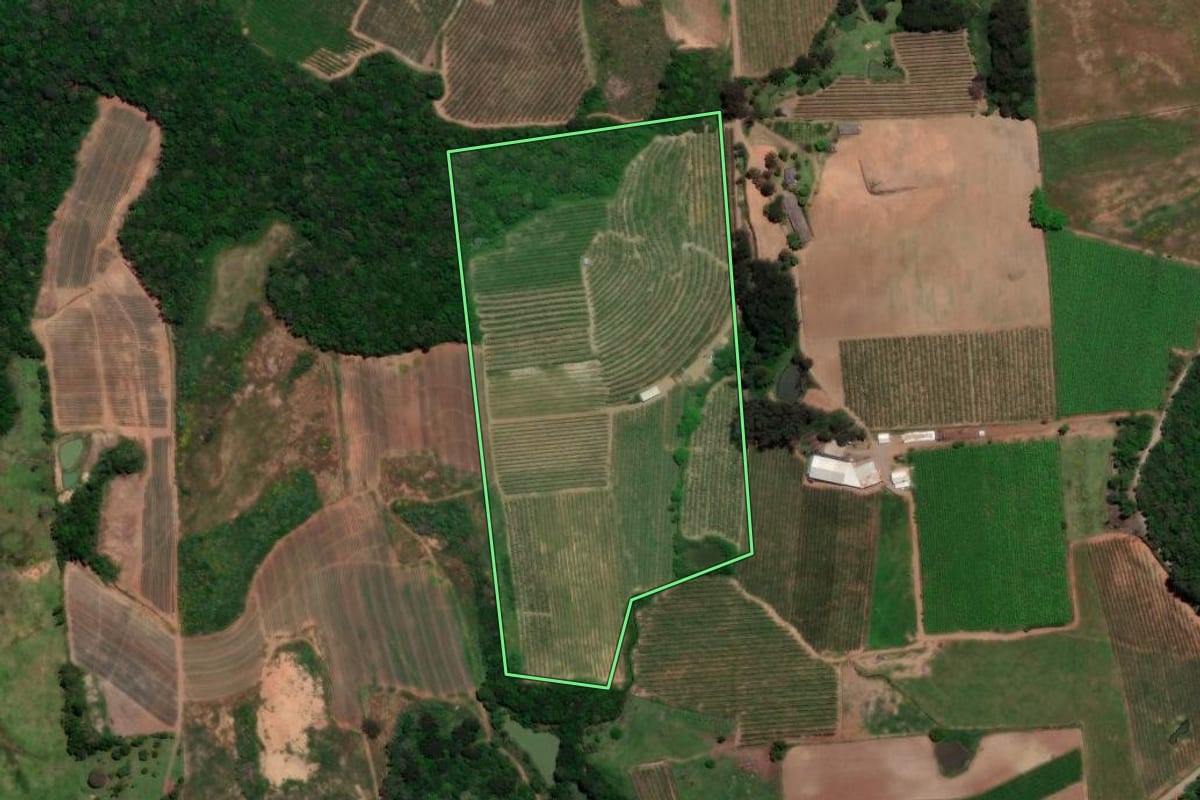 Imagem de satélite do imóvel rural em Antônio Prado (RS), com o contorno declarado no CAR desenhado por cima.
