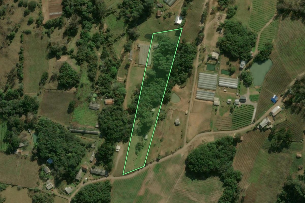 Imagem de satélite do imóvel rural em Antônio Prado (RS), com o contorno declarado no CAR desenhado por cima.