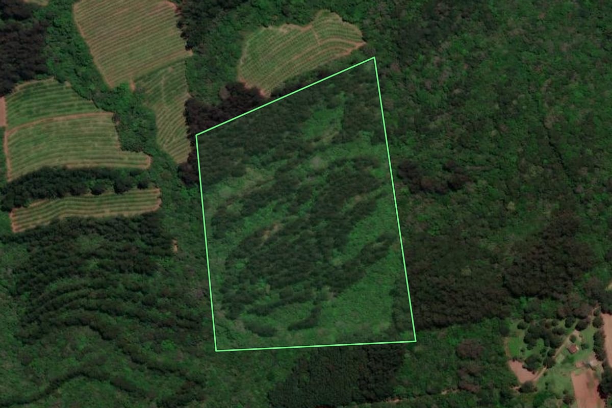 Imagem de satélite do imóvel rural em Antônio Prado (RS), com o contorno declarado no CAR desenhado por cima.
