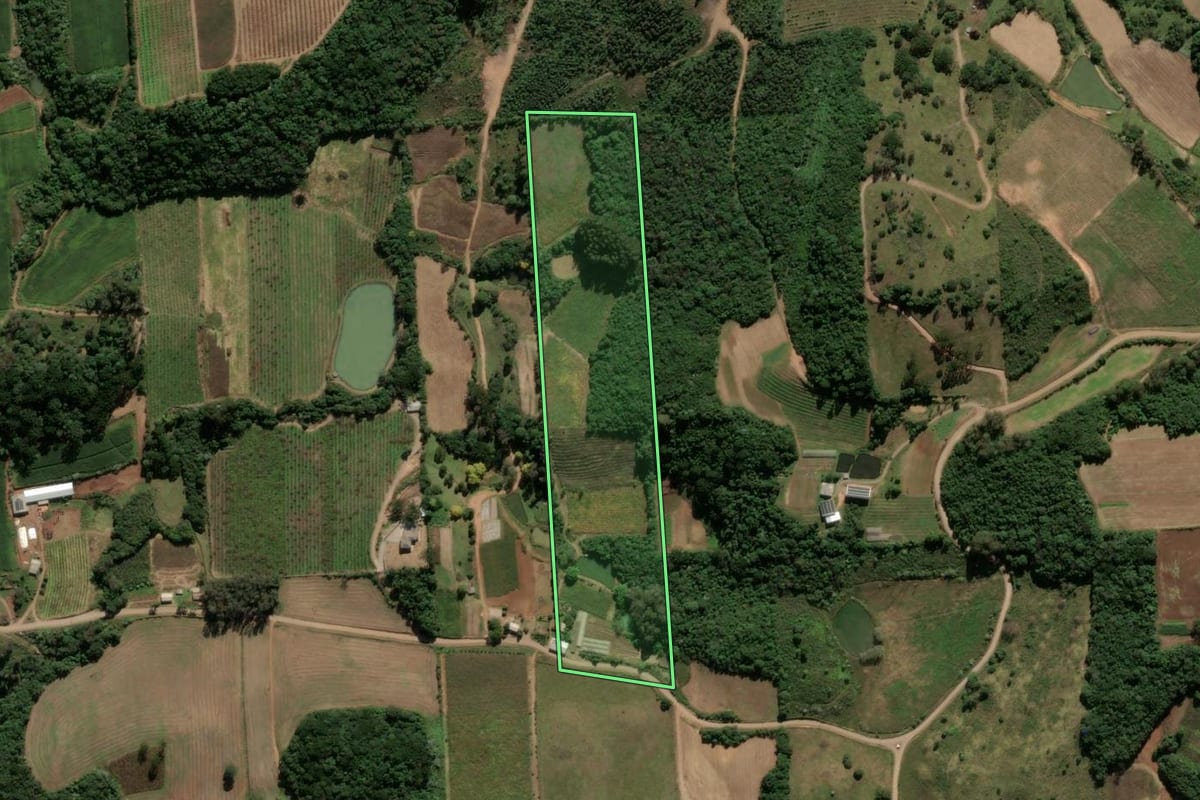 Imagem de satélite do imóvel rural em Antônio Prado (RS), com o contorno declarado no CAR desenhado por cima.