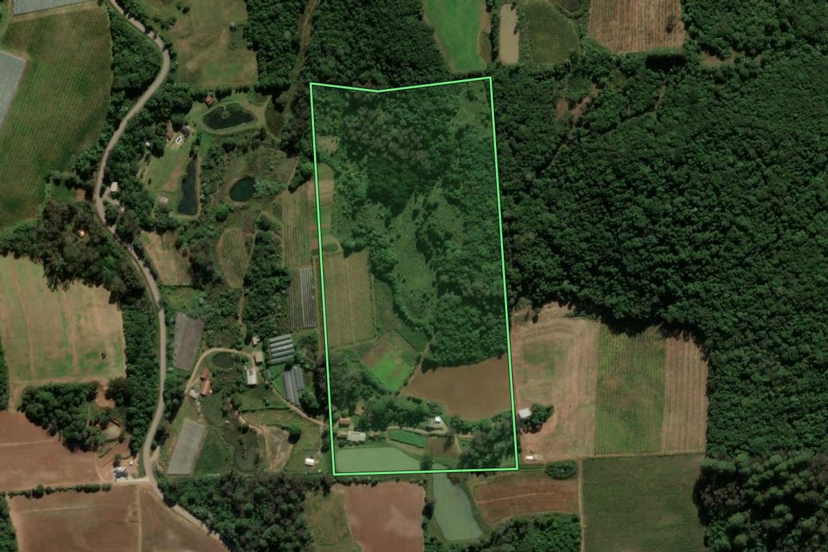 Imagem de satélite do imóvel rural em Antônio Prado (RS), com o contorno declarado no CAR desenhado por cima.
