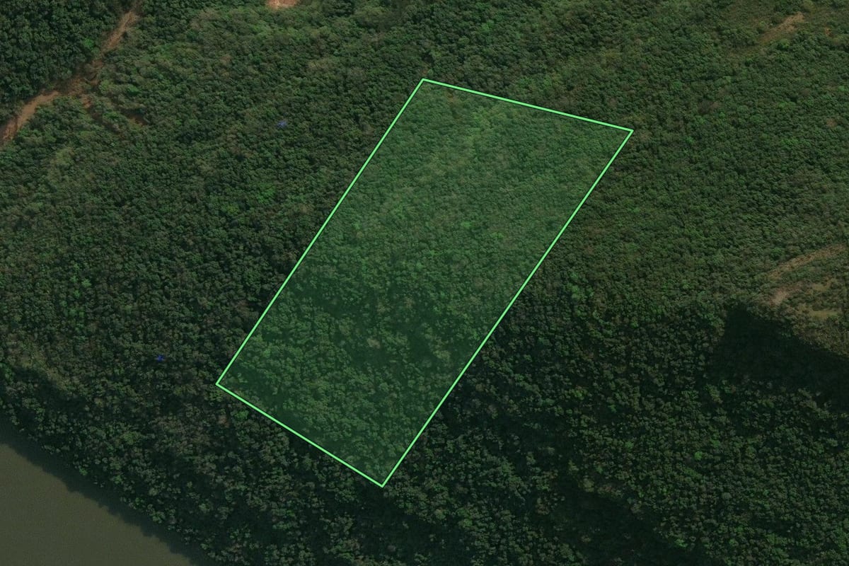 Imagem de satélite do imóvel rural em Antônio Prado (RS), com o contorno declarado no CAR desenhado por cima.
