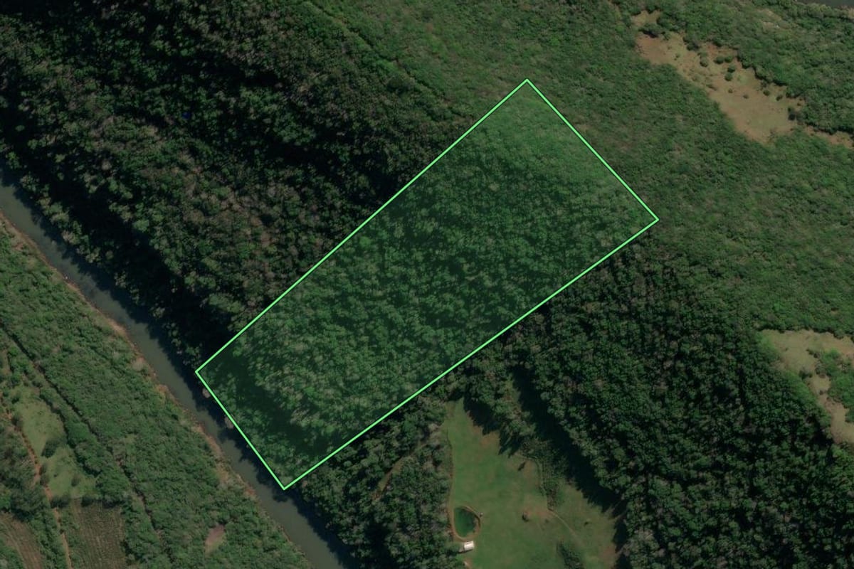 Imagem de satélite do imóvel rural em Antônio Prado (RS), com o contorno declarado no CAR desenhado por cima.