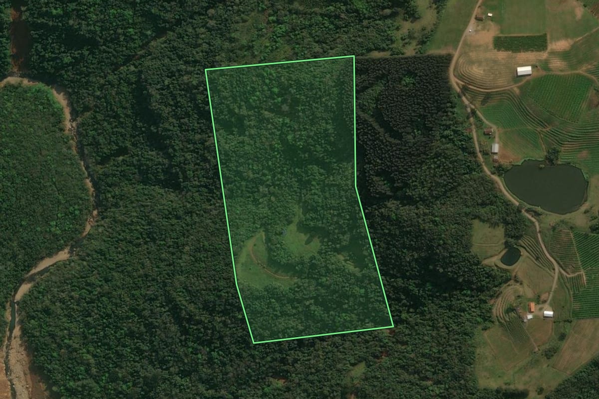 Imagem de satélite do imóvel rural em Antônio Prado (RS), com o contorno declarado no CAR desenhado por cima.